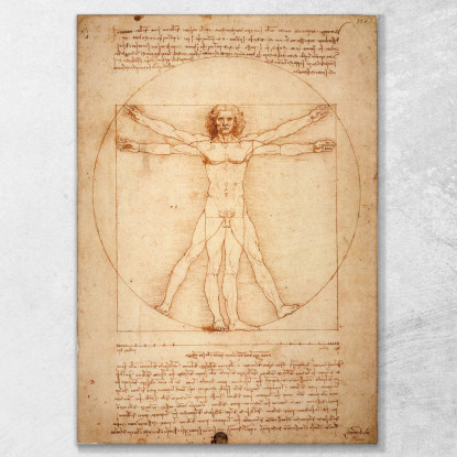 Uomo Vitruviano Leonardo Da Vinci ldv25 quadro stampato su tela