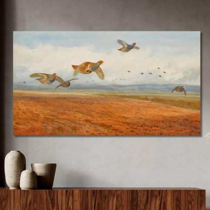 Una Covata Di Pernici Grigie In Volo Archibald Thorburn ath2 quadro stampato su tela