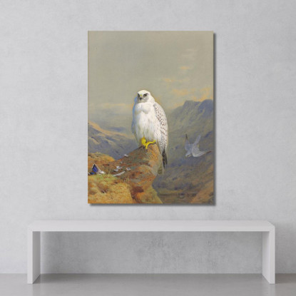 Un Falco Della Groenlandia Su Uno Sperone Roccioso Archibald Thorburn ath4 quadro stampato su tela