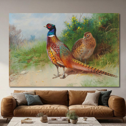 Una Fagiana E Un Fagiano Vicino All'Ulex Archibald Thorburn ath6 quadro stampato su tela