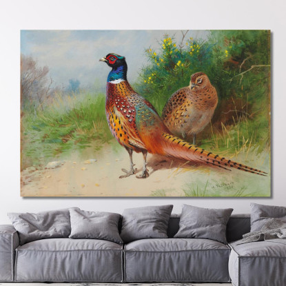 Una Fagiana E Un Fagiano Vicino All'Ulex Archibald Thorburn ath6 quadro stampato su tela