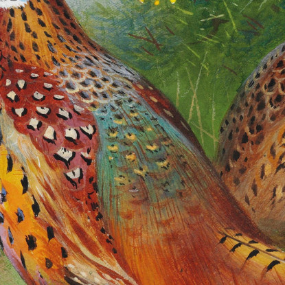 Una Fagiana E Un Fagiano Vicino All'Ulex Archibald Thorburn ath6 quadro stampato su tela