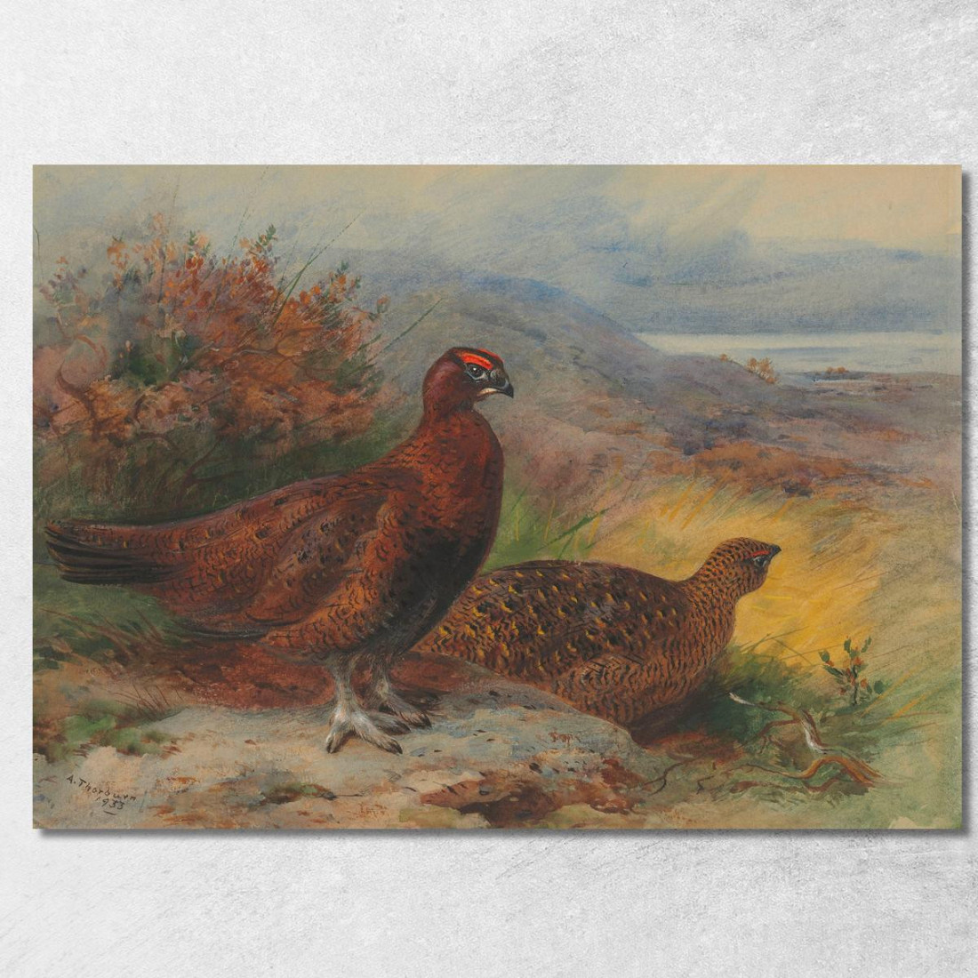 Una Coppia Di Pernici Rosse In Un Paesaggio Archibald Thorburn ath11 quadro stampato su tela