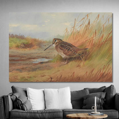 Un Beccaccino Archibald Thorburn ath15 quadro stampato su tela