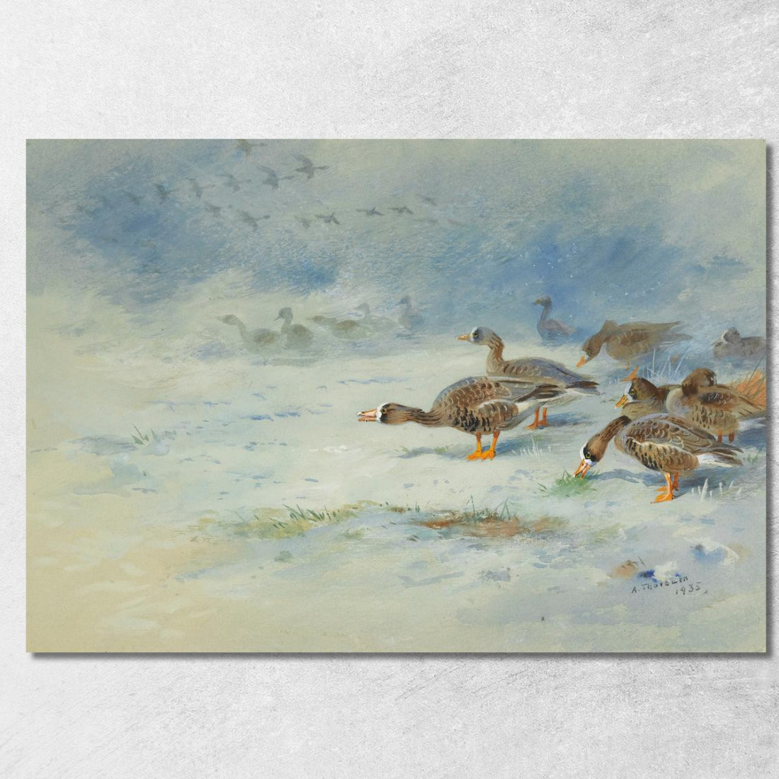 Oche Facciabianca Archibald Thorburn ath17 quadro stampato su tela