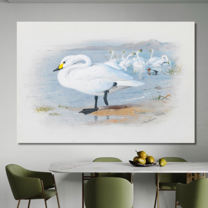Cigno Di Bewick Archibald Thorburn ath20 quadro stampato su tela