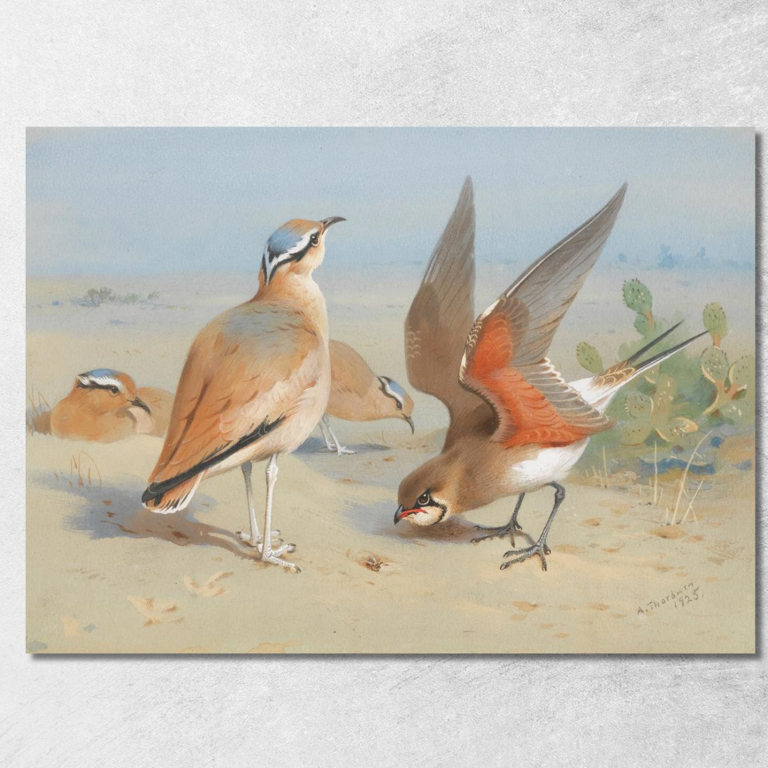Corridore Biondo E Pratincola Archibald Thorburn ath39 quadro stampato su tela