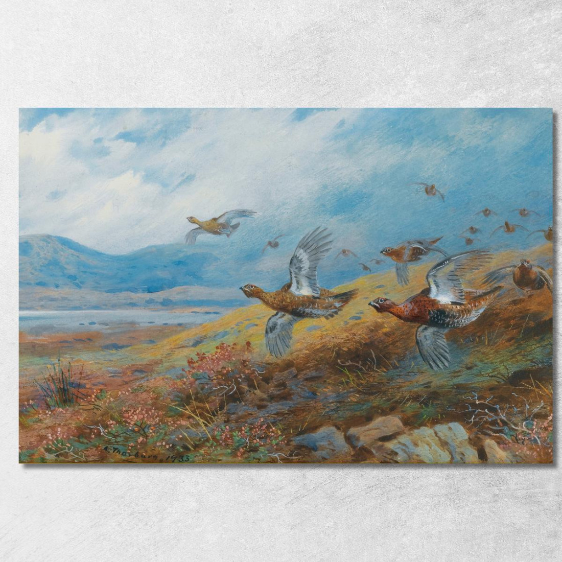 Caccia Alla Pernice Archibald Thorburn ath42 quadro stampato su tela