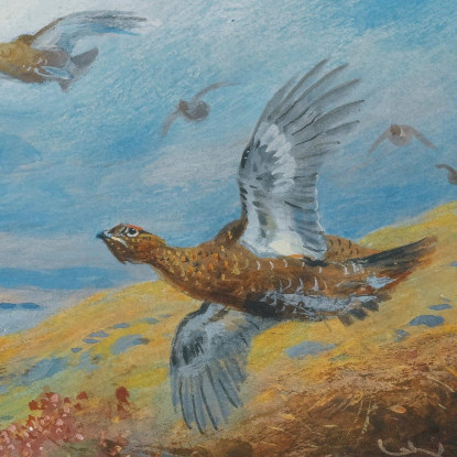 Caccia Alla Pernice Archibald Thorburn ath42 quadro stampato su tela