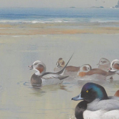 Anatre Lungo La Riva Archibald Thorburn ath43 quadro stampato su tela