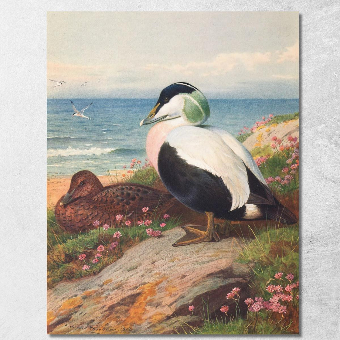 Edredone Archibald Thorburn ath44 quadro stampato su tela