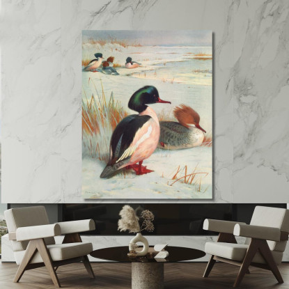 Smergo Maggiore Archibald Thorburn ath50 quadro stampato su tela