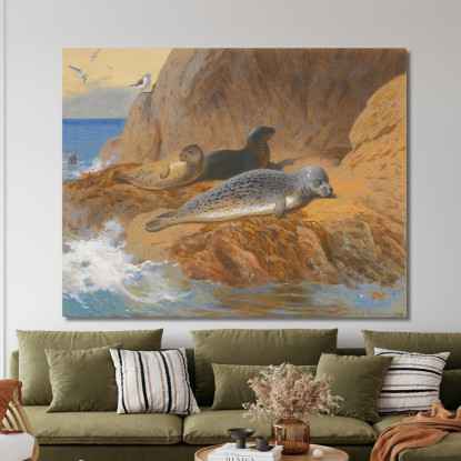 Foche Grigie E Comuni A Riposo Archibald Thorburn ath51 quadro stampato su tela