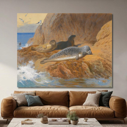 Foche Grigie E Comuni A Riposo Archibald Thorburn ath51 quadro stampato su tela