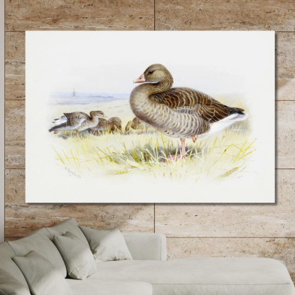 Oca Grigia Archibald Thorburn ath53 quadro stampato su tela