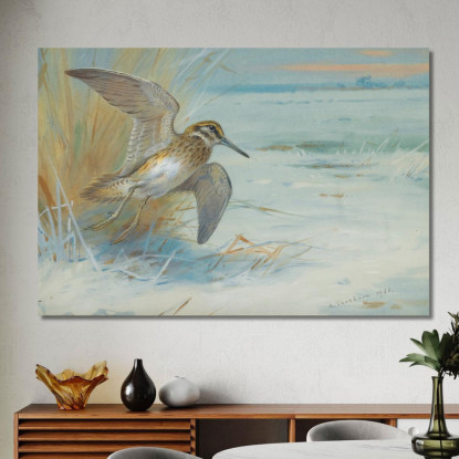 Beccaccino In Decollo Archibald Thorburn ath58 quadro stampato su tela