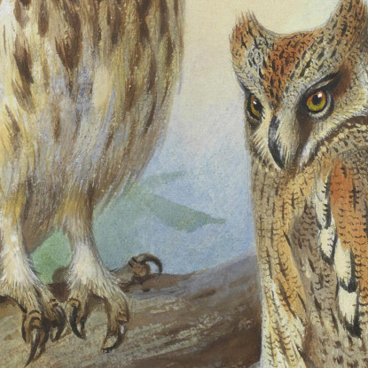 Civetta Nana E Assiolo Archibald Thorburn ath61 quadro stampato su tela