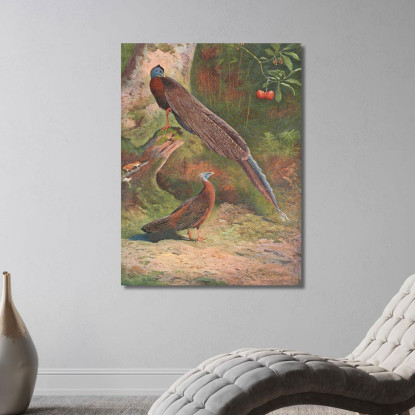 Fagiano Argus Malese Archibald Thorburn ath64 quadro stampato su tela