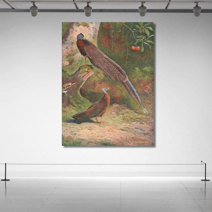 Fagiano Argus Malese Archibald Thorburn ath64 quadro stampato su tela
