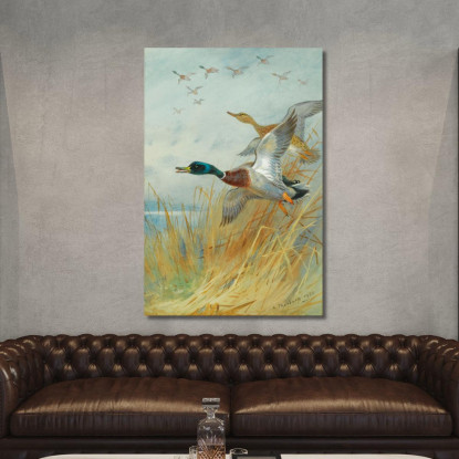 Germano Reale In Decollo Archibald Thorburn ath66 quadro stampato su tela