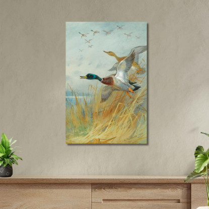Germano Reale In Decollo Archibald Thorburn ath66 quadro stampato su tela