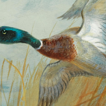 Germano Reale In Decollo Archibald Thorburn ath66 quadro stampato su tela