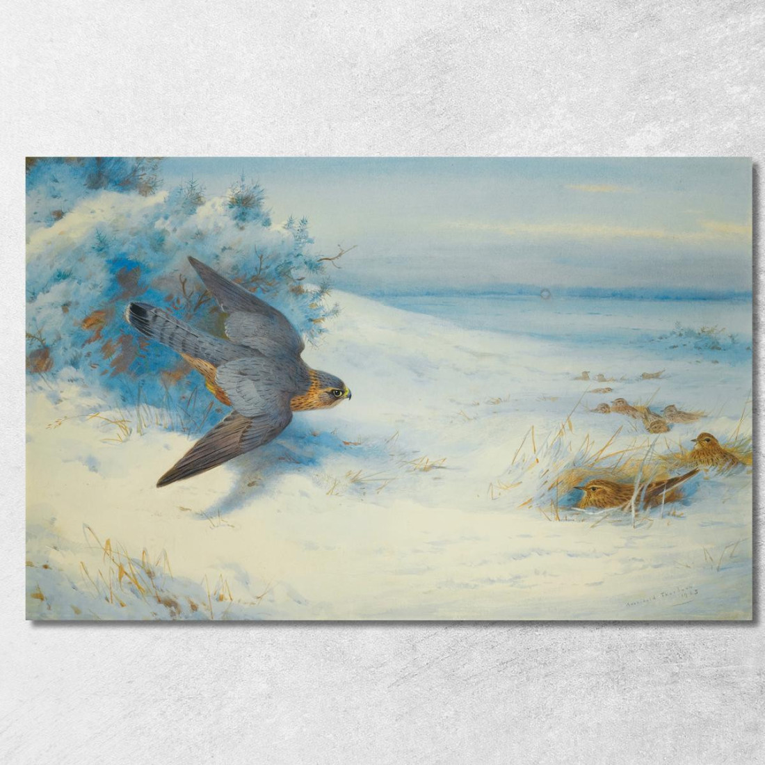 Smeriglio E Allodole Archibald Thorburn ath68 quadro stampato su tela