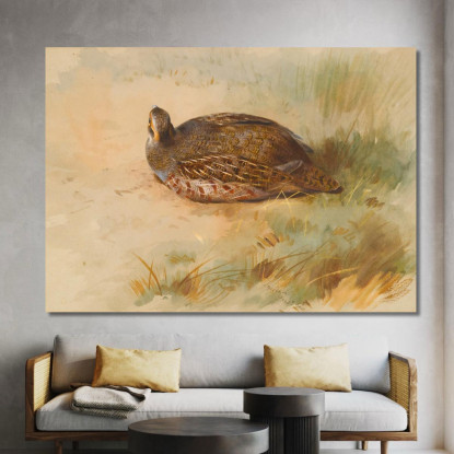Pernice Archibald Thorburn ath75 quadro stampato su tela