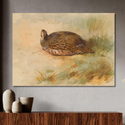 Pernice Archibald Thorburn ath75 quadro stampato su tela
