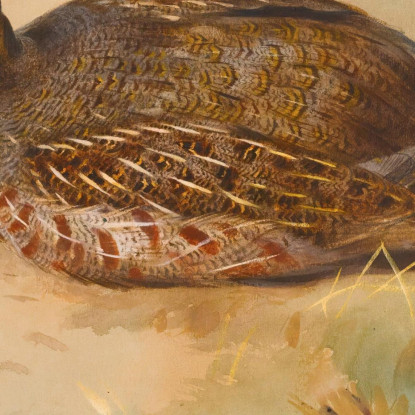 Pernice Archibald Thorburn ath75 quadro stampato su tela