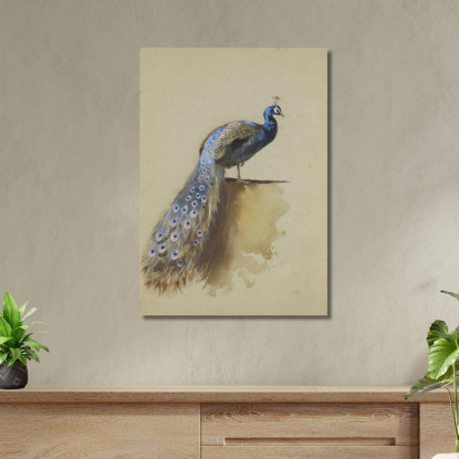 Pavone Archibald Thorburn ath77 quadro stampato su tela