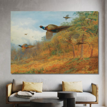 Fagiani Che Escono Dalla Copertura Archibald Thorburn ath82 quadro stampato su tela