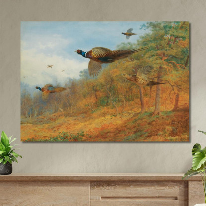 Fagiani Che Escono Dalla Copertura Archibald Thorburn ath82 quadro stampato su tela