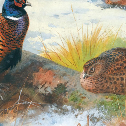 Fagiani Nella Neve Archibald Thorburn ath83 quadro stampato su tela