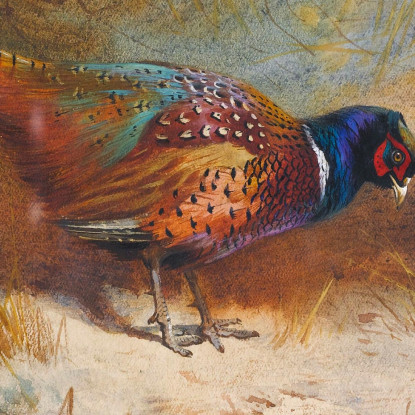 Fagiani Archibald Thorburn ath84 quadro stampato su tela