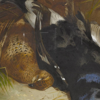 Natura Morta Con Una Coppia Di Galli Forcelli Archibald Thorburn ath94 quadro stampato su tela