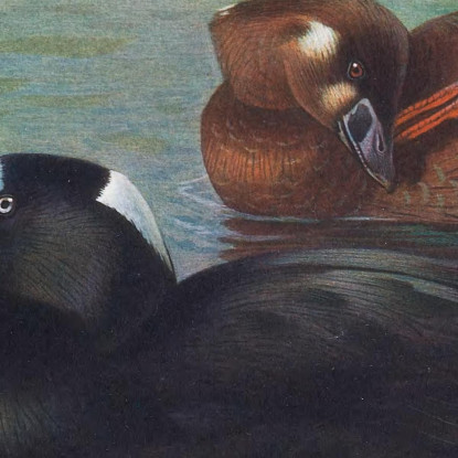 Orco Marino Archibald Thorburn ath97 quadro stampato su tela