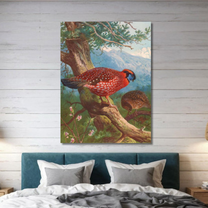 Tragopano Di Temminck Archibald Thorburn ath99 quadro stampato su tela