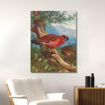 Tragopano Di Temminck Archibald Thorburn ath99 quadro stampato su tela