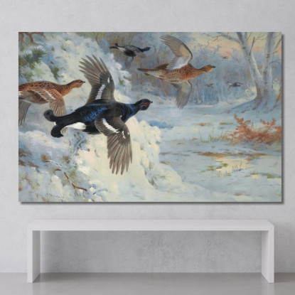 Attraverso Le Macchie Innevate - Gallo Forcello Archibald Thorburn ath105 quadro stampato su tela