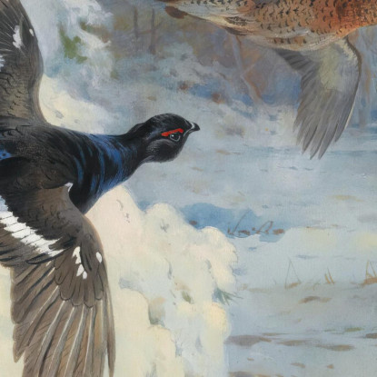 Attraverso Le Macchie Innevate - Gallo Forcello Archibald Thorburn ath105 quadro stampato su tela