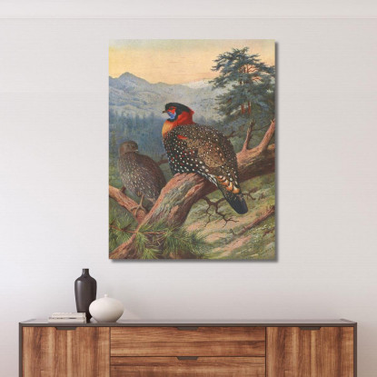 Tragopano Occidentale Archibald Thorburn ath109 quadro stampato su tela