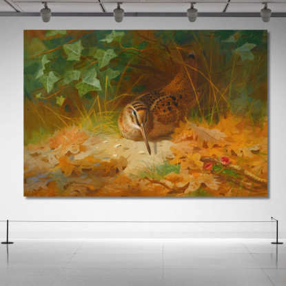 Beccaccia Archibald Thorburn ath115 quadro stampato su tela