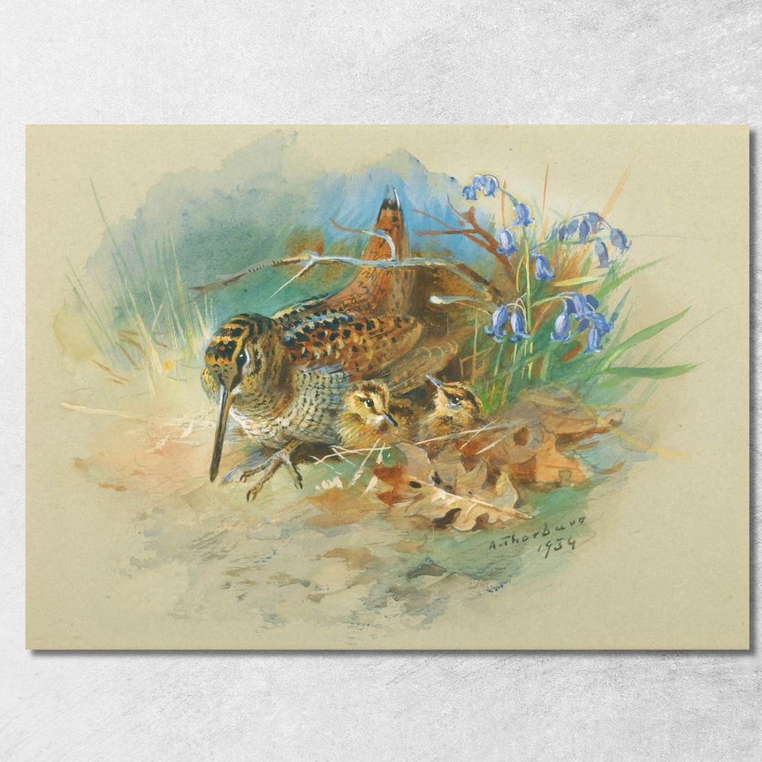 Beccaccia Con I Piccoli Archibald Thorburn ath116 quadro stampato su tela