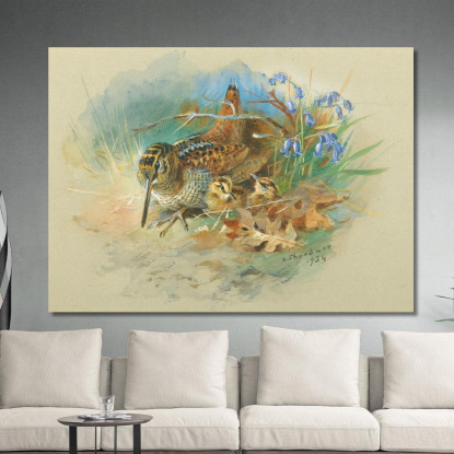 Beccaccia Con I Piccoli Archibald Thorburn ath116 quadro stampato su tela