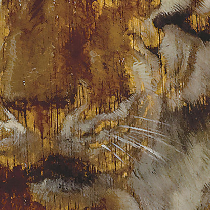 Tigre Rudolf Ernst rer72 quadro stampato su tela