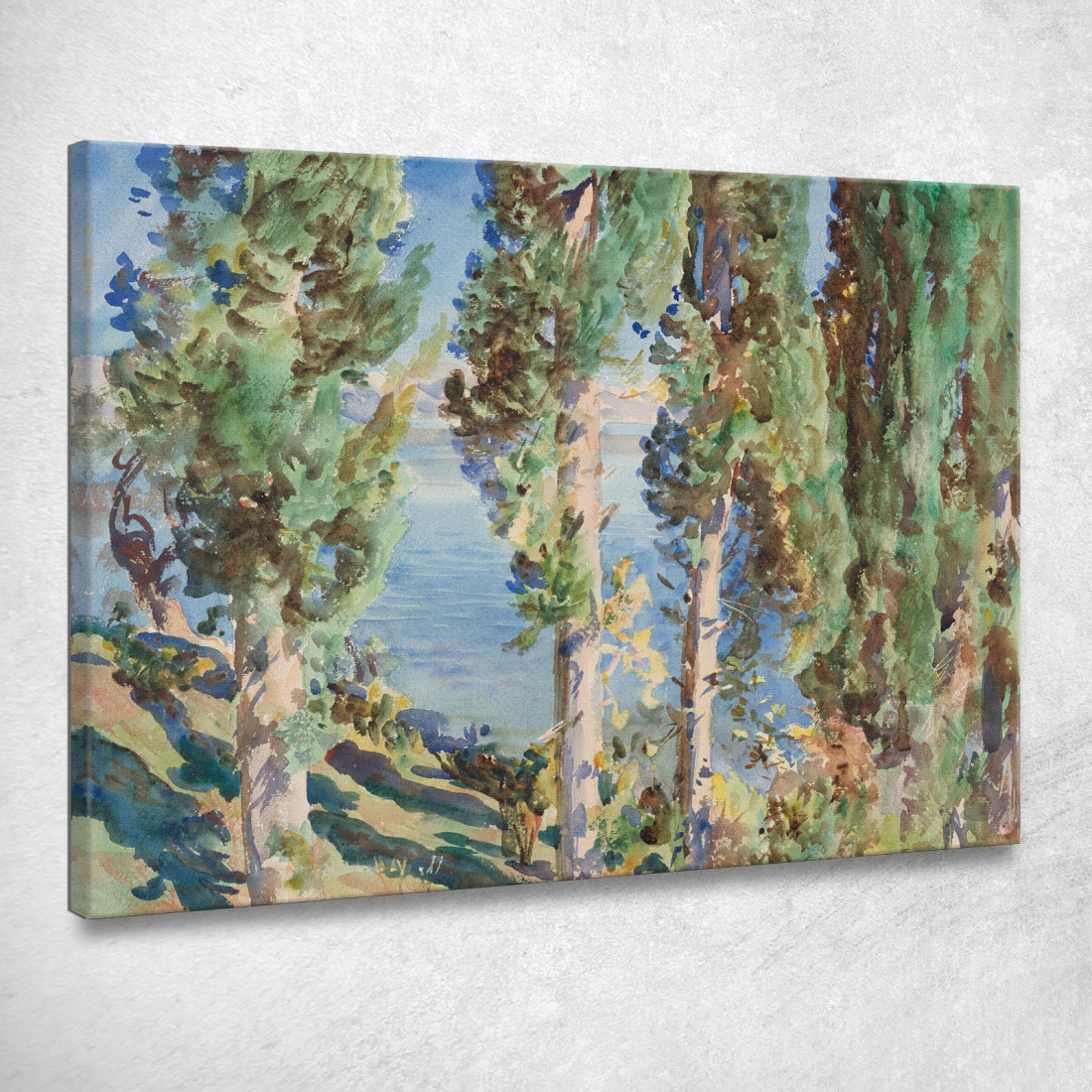 Cipressi Di Corfù John Singer Sargent jss50 quadro stampato su tela