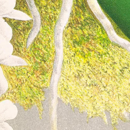 Illustrazioni Botaniche Angraecum Ellisi Jean Jules Linden jjl10 quadro stampato su tela