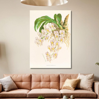 Illustrazioni Botaniche Catasetum Tigrinum Jean Jules Linden jjl25 quadro stampato su tela