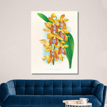 Illustrazioni Botaniche Houlletia Brocklehurstiana Jean Jules Linden jjl88 quadro stampato su tela